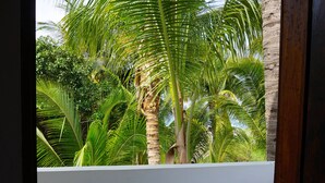 Vista desde un balcón con barandilla de madera enrejada, palmeras y suelo estampado.