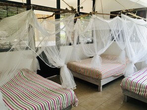 标准三人房, 多张床, 花园景观, 海滨 | 熨斗/熨板、免费 WiFi、床单