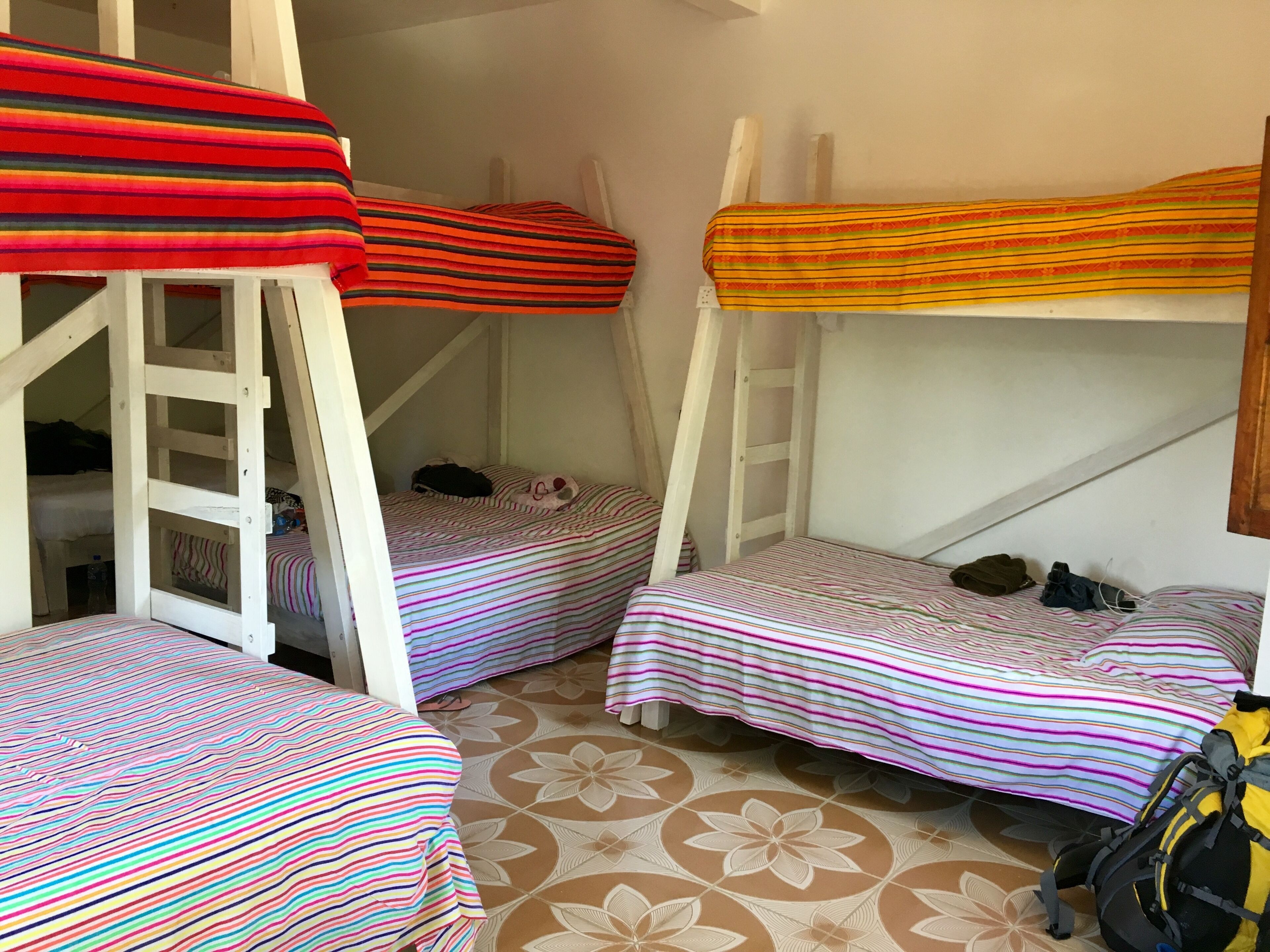 A dormitory room with bunk beds, a ladder, and a floral-patterned floor.