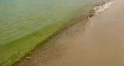 High Tide - townhouse close to Perdido Beach