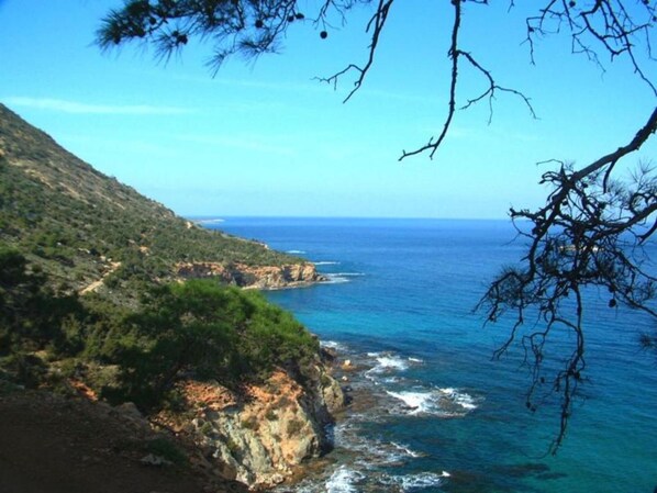Playa en los alrededores 