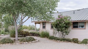 Une maison de plain-pied avec une allée en gravier, entourée de différents arbustes et d’un grand arbre.