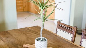 Une table de salle à manger en bois, sur laquelle est posée une plante en pot, elle-même placée sur un sous-plat en bois.