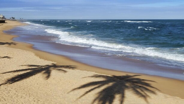 A beach with clear blue water, sandy shore, and palm tree shadows. - Loft Vista Mar (Guarapari)