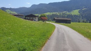 A rural road curving through a green landscape with houses and mountains in the background. - Apartment 'Jägermeister' with Mountain View, Shared Garden and Wi-Fi (Sankt Martin bei Lofer)