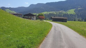 Une route de campagne sinueuse qui traverse un paysage verdoyant, avec des maisons et des montagnes en arrière-plan.