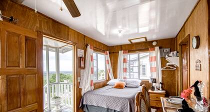 Scenic hilltop studio with shared plunge pool, kitchenette, AC, & WiFi