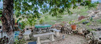 Cozy cabana with shared plunge pool, scenic views, kitchenette, AC, & WiFi