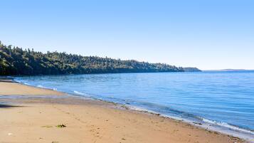 Escape to a serene beach setting surrounded by a lush forest, where the calm waters invite relaxation.