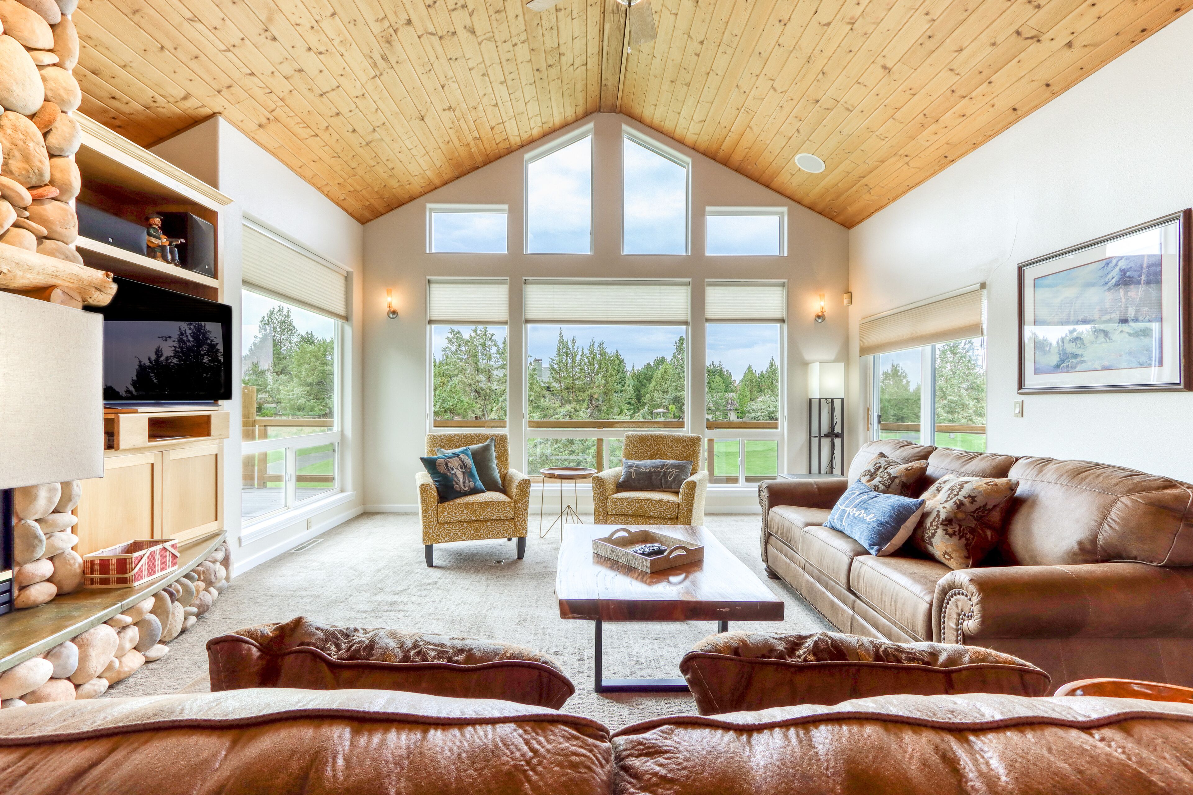 TV, caminetto, lettore DVD, impianto stereo