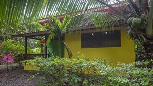 A yellow building with a window, surrounded by lush greenery and a palm tree.