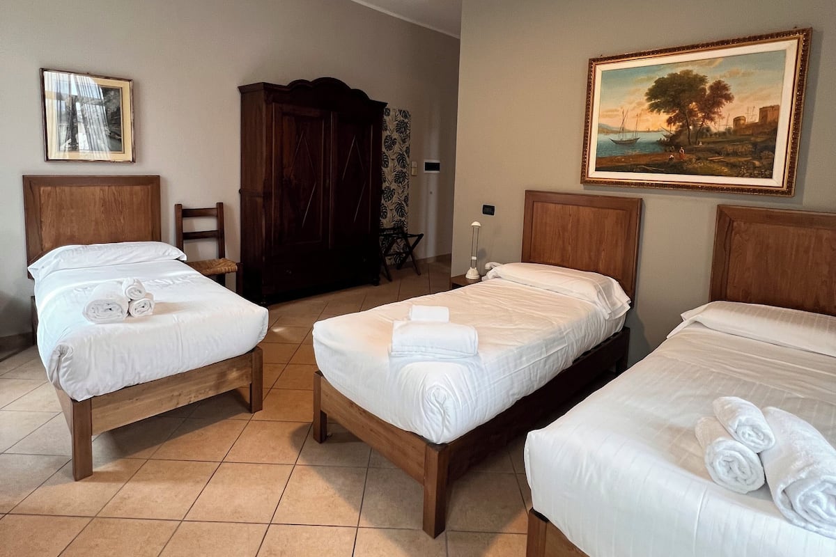 Tripla Standard | 1 camera, biancheria da letto di alta qualità, copriletto in piuma