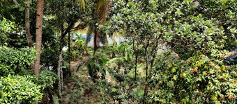 Anandam stays-relax in the calmness of nature-enjoy backwaters