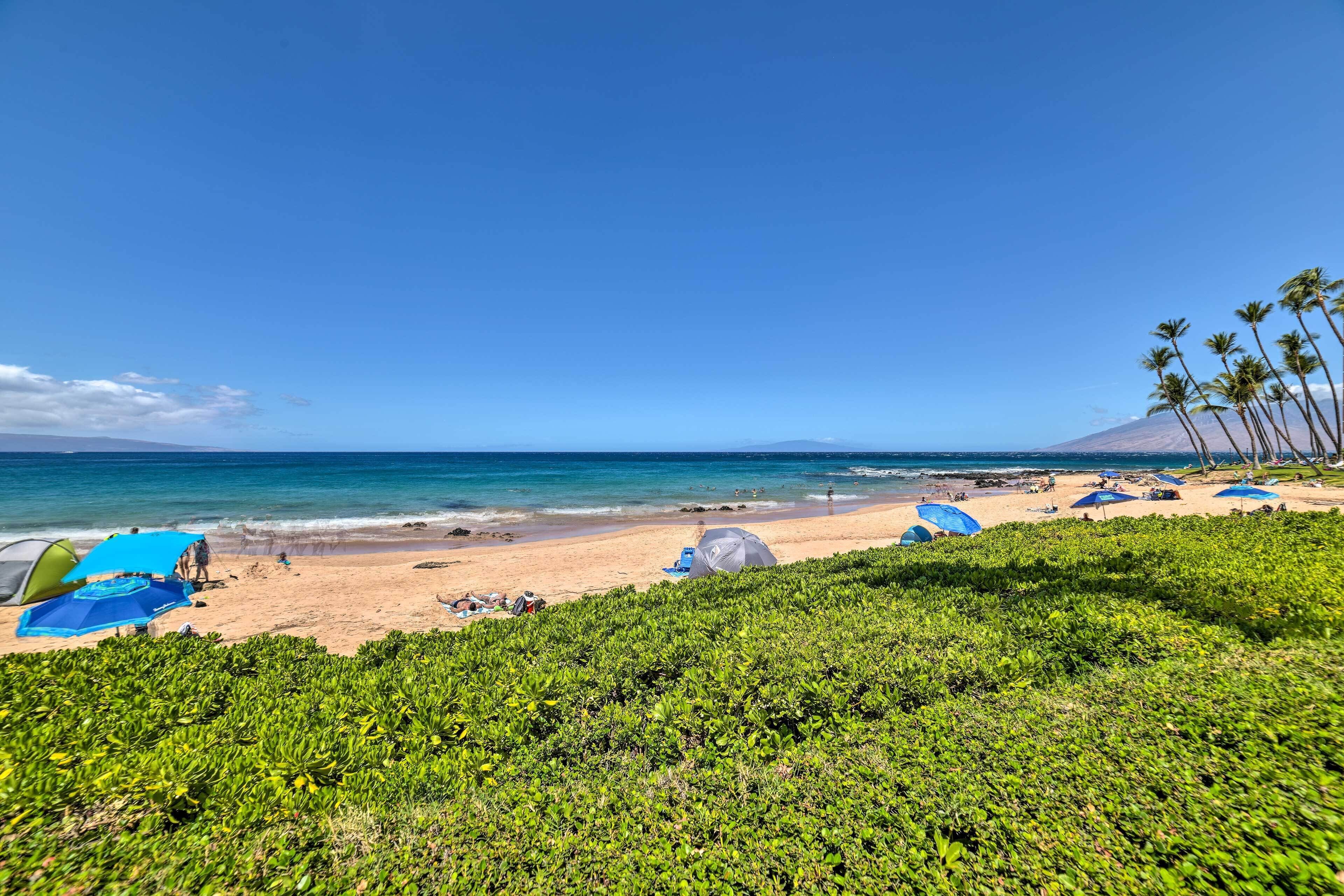 Una playa con tiendas de campaña, sombrillas, palmeras y un cielo azul despejado.