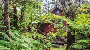 Une maison rouge entourée d’un feuillage vert et d’arbres touffus.