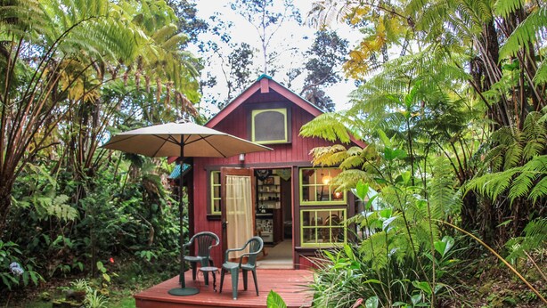 Une maison en bois rouge, dotée d’un porche, entourée d’une végétation luxuriante et de fougères.