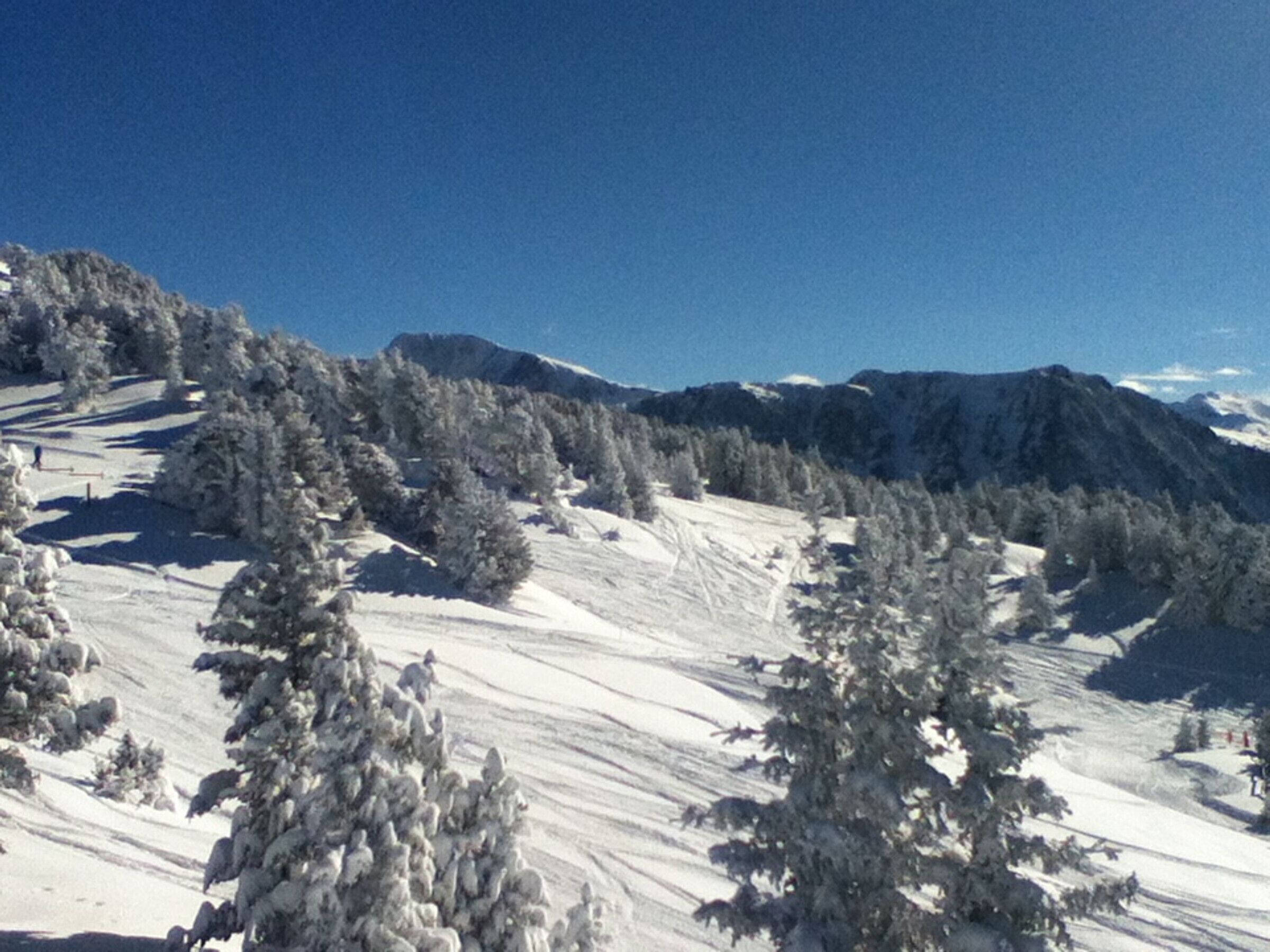Un paysage de montagne enneigé, avec des arbres et un ciel dégagé.