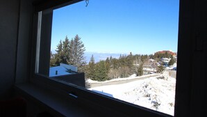 Ein Fenster mit Blick auf eine verschneite Landschaft, Bäume und Gebäude in der Ferne.