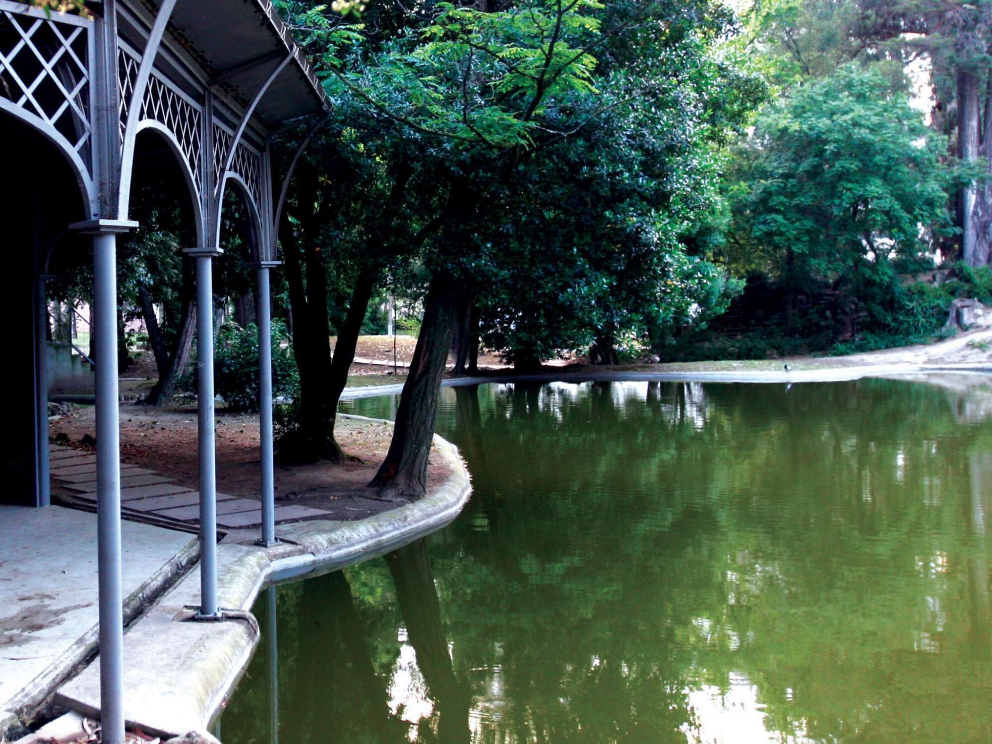Área da propriedade
