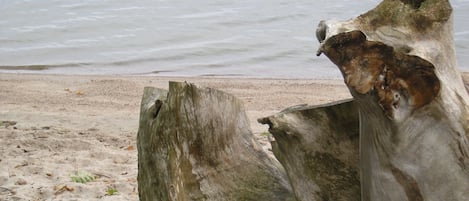 Nära stranden