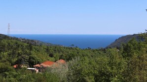 Un paysage côtier offrant une vue dégagée sur la mer, bordé d’une végétation luxuriante et agrémenté de quelques bâtiments aux toits recouverts de tuiles rouges.