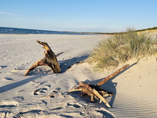 Plage à proximité, chaises longues