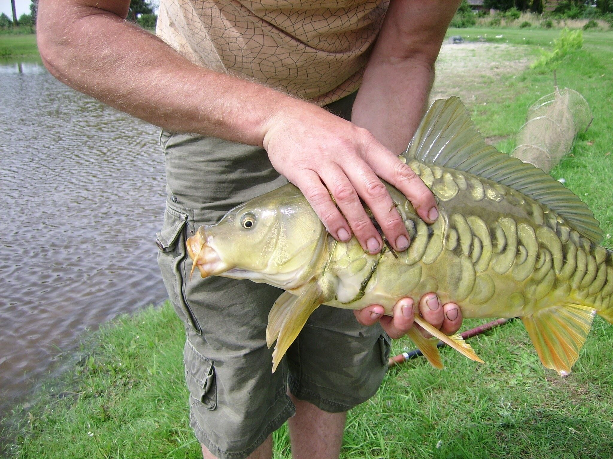 A person holding a fish near a body of water.