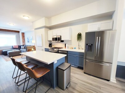 Stay Lincoln Park 3 | Craft District Condo