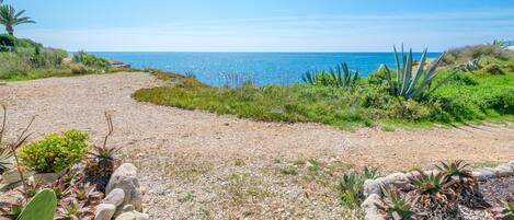 Un sentier côtier recouvert de gravier, bordé de rochers et de différentes espèces de plantes désertiques.