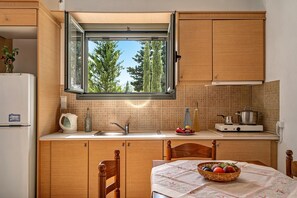 Fridge, stovetop, coffee/tea maker, electric kettle - Holiday Accommodation "Alkionides Apartment 1" with pine forest overlook (Lefkada)