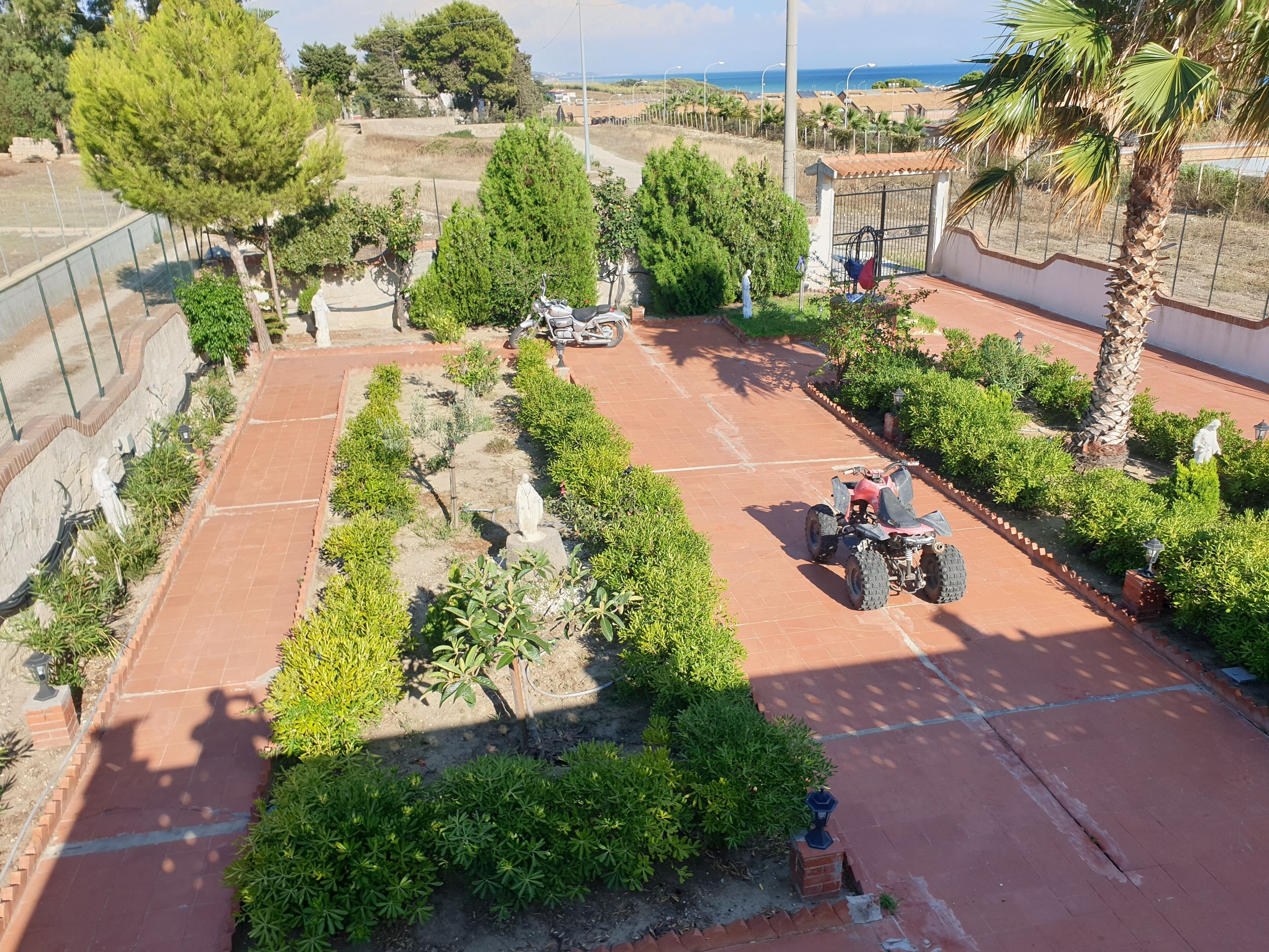 Un cortile con un vialetto lastricato, circondato da vegetazione e da una palma.