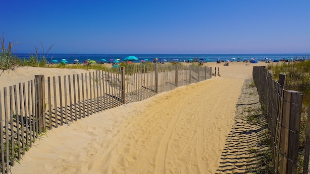 A sandy beach path with a wooden fence, leading to the ocean.