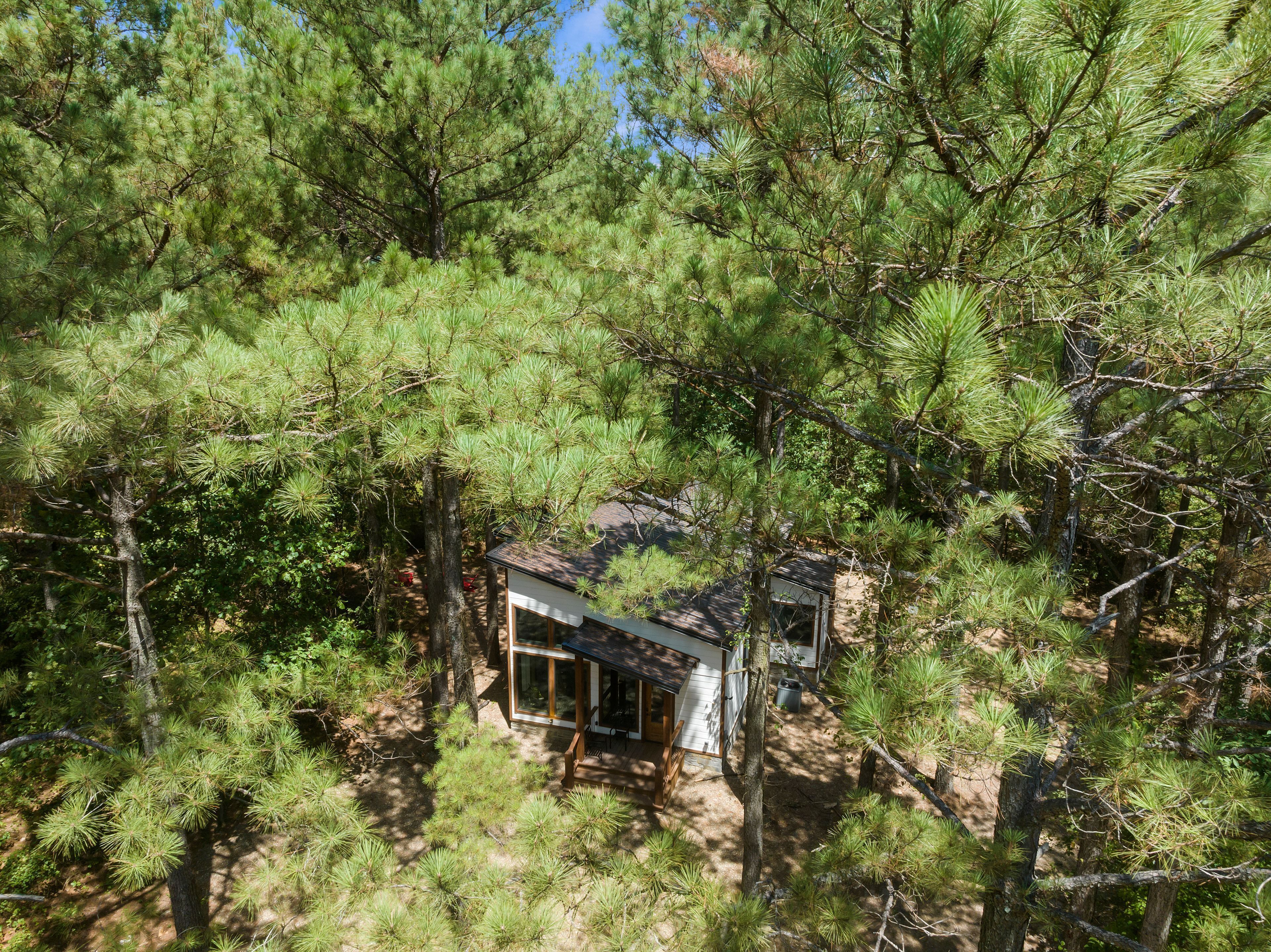Een chalet omgeven door dichte dennenbomen.