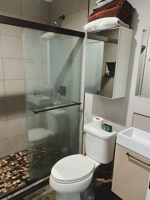 Combined shower/tub, hair dryer, towels, shampoo