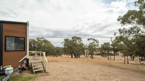 Eine moderne Holzhütte mit einer Terrasse und einem trockenen Grasfeld, im Hintergrund Bäume.