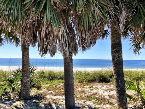 Beach nearby - "STELLA MARIS", NEW COASTAL HOME W/OPTION TO RENT ONSITE GOLF CART. (Mexico Beach)