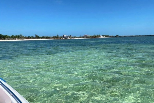 Vista desde la propiedad