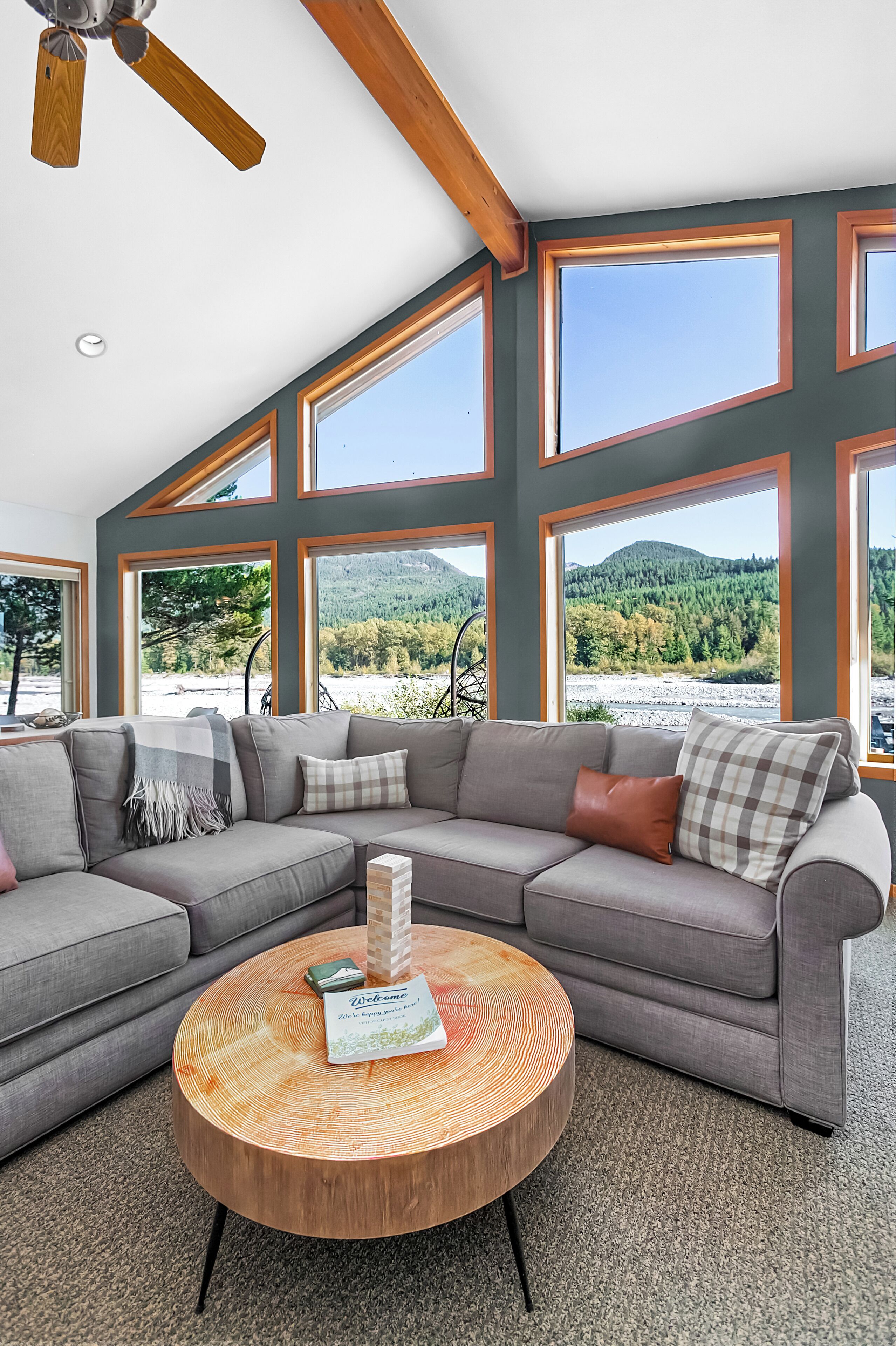 Smart TV, fireplace, books