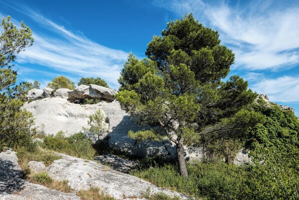 Un paisaje natural con una gran formación rocosa, árboles verdes frondosos y un cielo azul despejado.