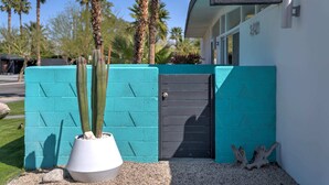 Une maison moderne avec un mur de couleur turquoise et une porte noire. Devant le mur, on aperçoit un pot blanc contenant un cactus.