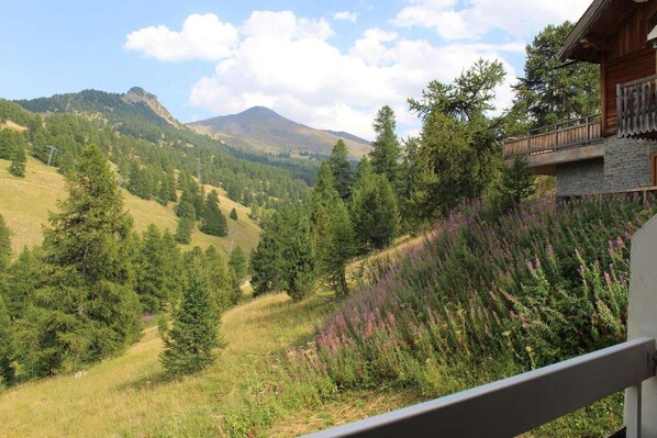 View from property - 200m from ski slopes, 3rd floor, balcony, tv, 22m², Vars (Vars)