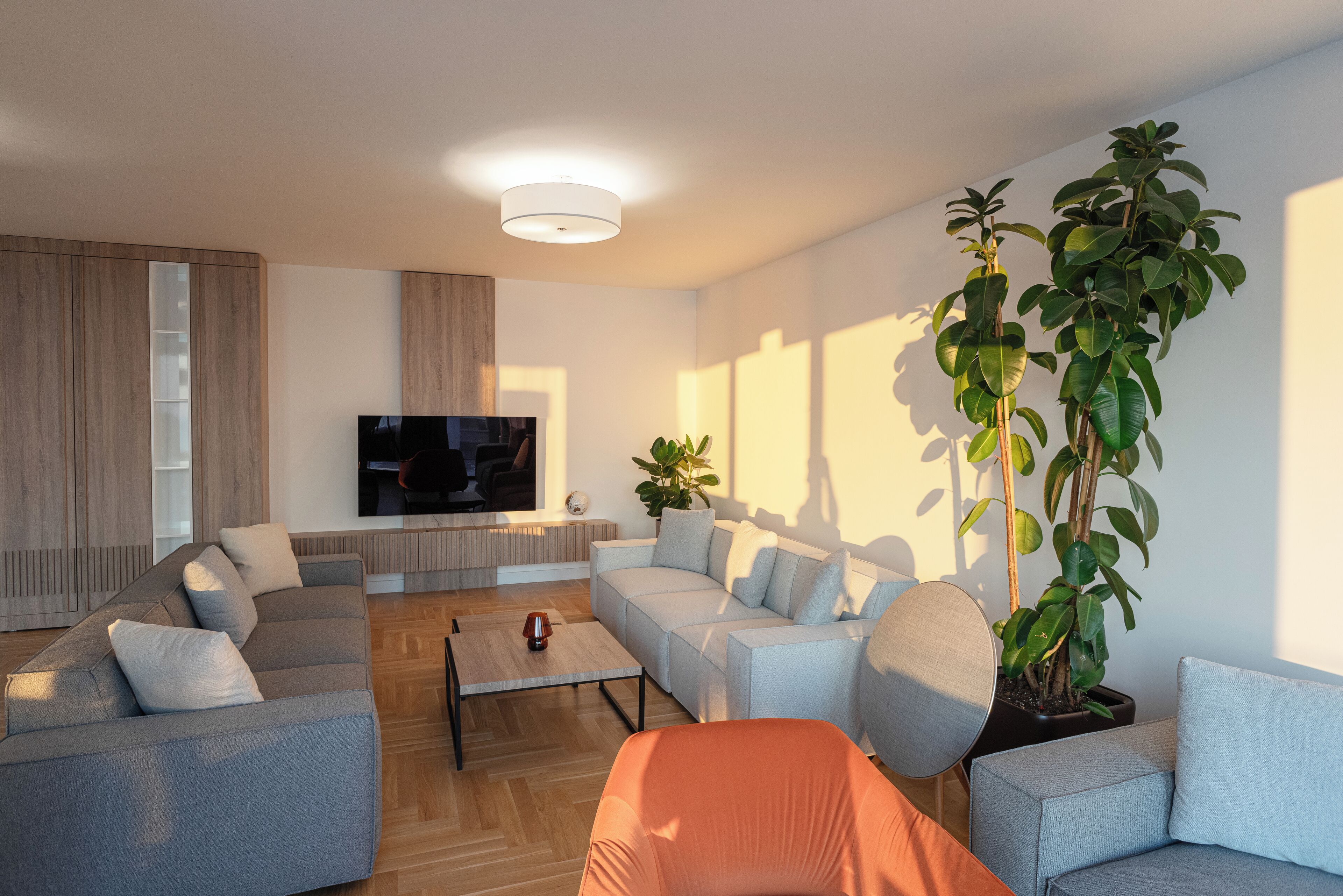 A modern living room with a large flat-screen TV, two sofas, a coffee table, and a potted plant.
