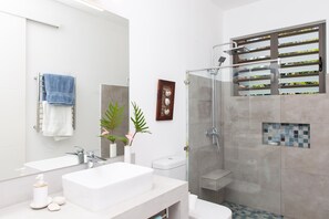 Chuveiro, secador de cabelo, toalhas de banho, sabonete