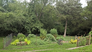 Un jardin où l’on trouve diverses plantes et arbres, le tout délimité par une clôture en fil de fer.