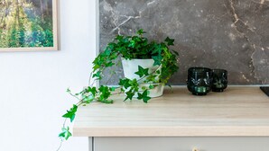 A kitchen with a marble backsplash, a potted plant, and two glasses on the counter.