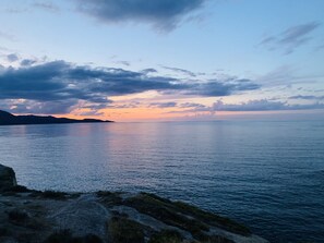 Beach - Convenient, close to the sea and a hundred cities  (Livorno)
