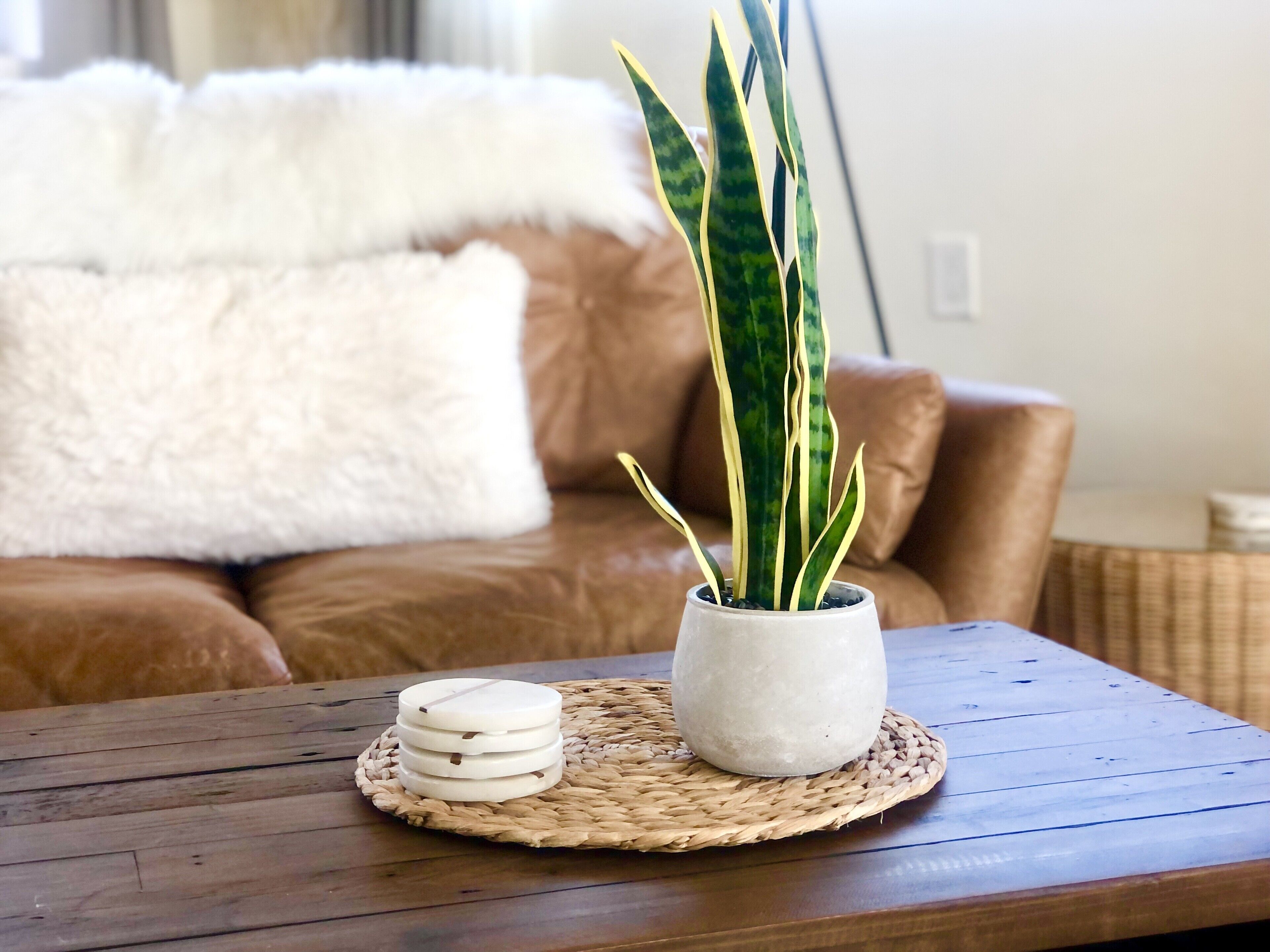 King bed Casita, AC, Balcony, BBQ, FirePit, Amazing views & Location! 2 Dogs OK