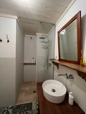 Shower, hair dryer, bidet, towels