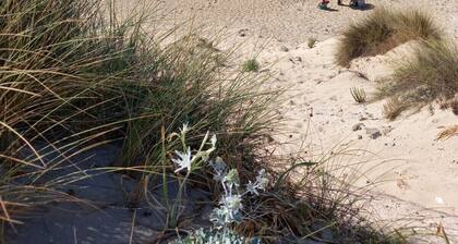 House from 1657, historic home in the village of Monacizzo