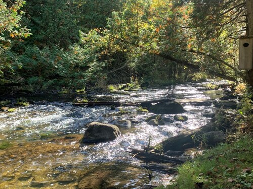 Secluded modern house, 5 forested acres, running stream, hot tub, game room